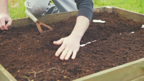 Young-man-putting-soil-over-vegetables-seeds-using-hands-4K