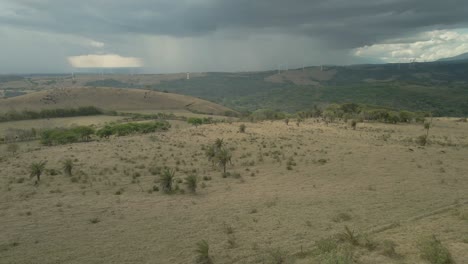 aerial-drone-shot-of-a-vast-expanse-of-grassland-in-the-dry-season-with-cloudy-skies