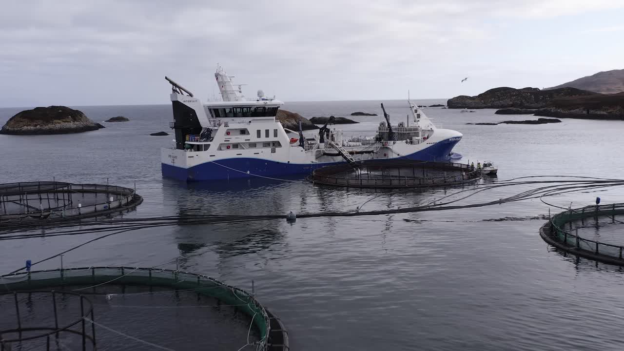 avance y inclinación del disparo del avión no tripulado de peces que se ponen en un corral de piscifactoría