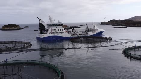 advancing and tilting drone shot of fish being put in a fish farming pen