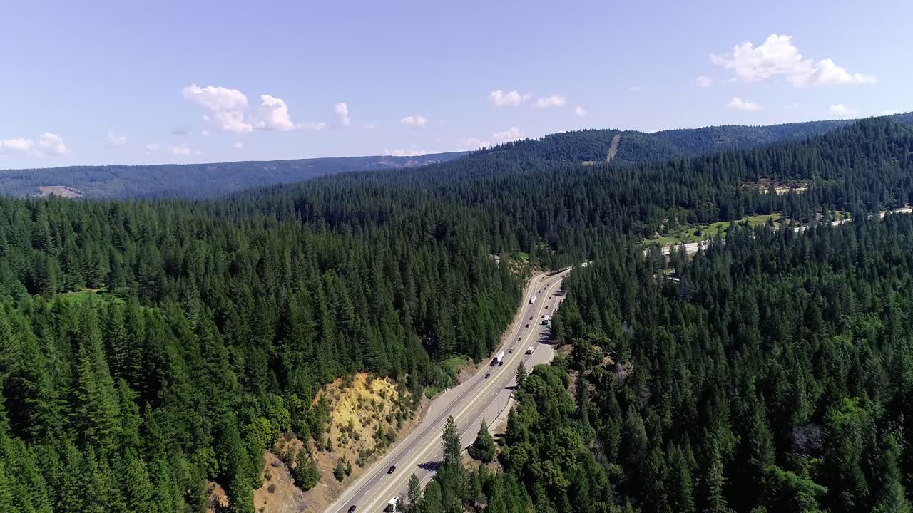 dolly adelante revelando más bosque y carretera
