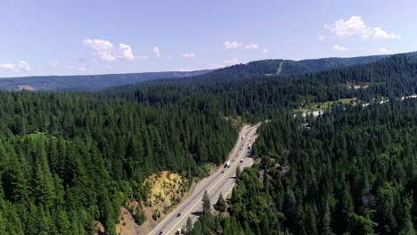 dolly forward revealing more forest and highway