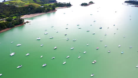 aerial view of a tranquil bay with numerous boats