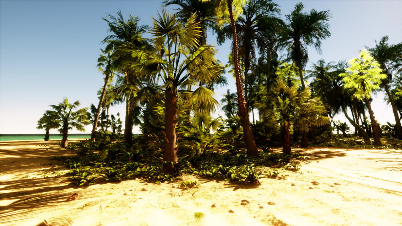 A sandy beach with palm trees and the ocean in the background