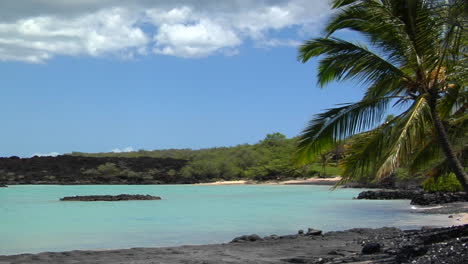 una sartén a una hermosa playa de arena negra con palmeras que soplan