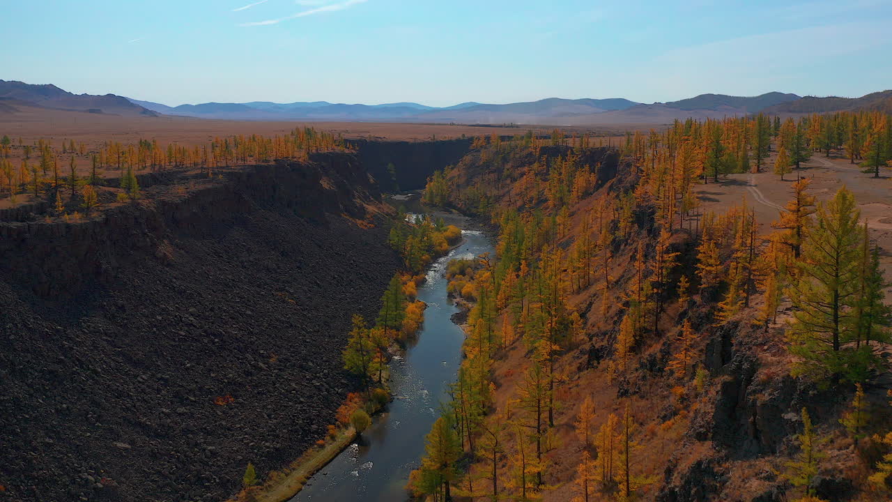 carretilla aérea de cañón y río entre pinos en un día soleado en mongolia