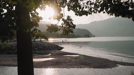 Mañana-Junto-Al-Lago-De-Garda,-Rama-De-árbol-Iluminada-Por-El-Sol,-Panorama-Junto-Al-Lago-Al-Amanecer