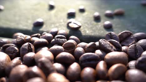 close up of seeds of coffee 02