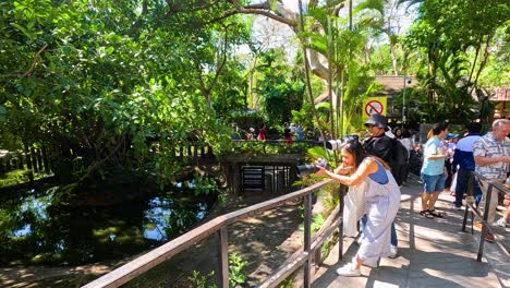 visitors explore lush zoo environment in chonburi