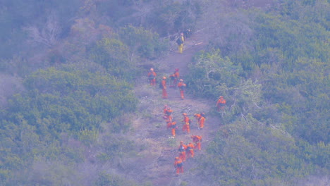 Feuerwehrleute-Schneiden-Eine-Feuerlinie-In-Dichtem-Gebüsch-Und-Vegetation-Während-Des-Thomasfeuers-In-Ventura-Und-Santa-Barbara,-Kalifornien