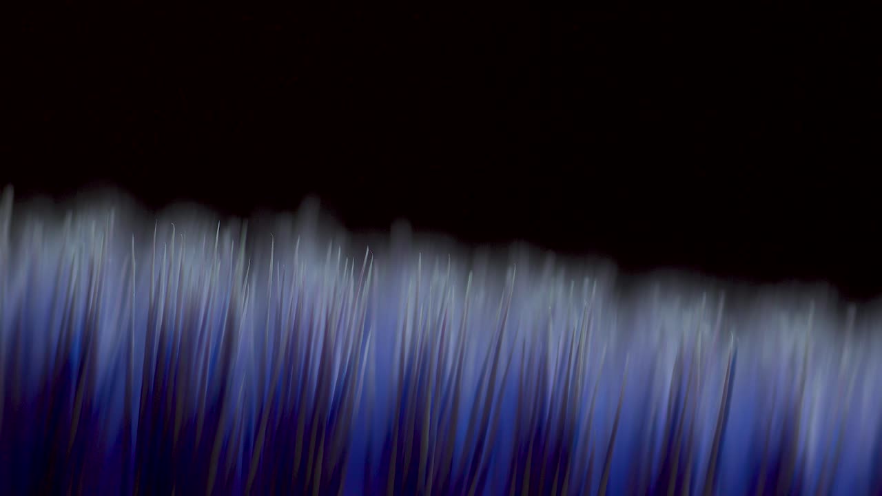 cepillo de dientes macro extrema con luz deslizar a través del marco detalle alto profundidad de campo