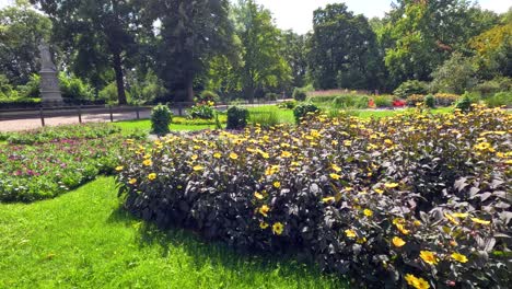 a slow daytime camera pan reveals vibrant flower beds and lush greenery in a public berlin park, with bright natural sunlight and clear summer skies