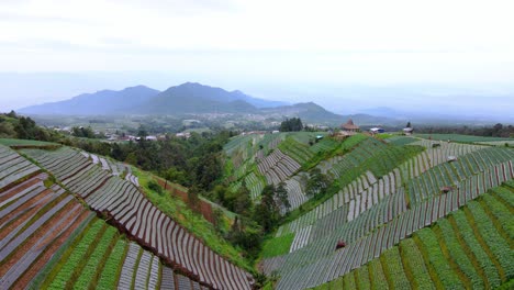 Drone-view-between-slopes-of-Mount-Sumbing-with-mountains-in-the-distance,-Indonesia