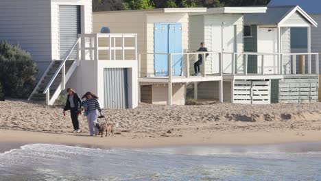 una pareja paseando con un perro cerca de las casas de la playa.