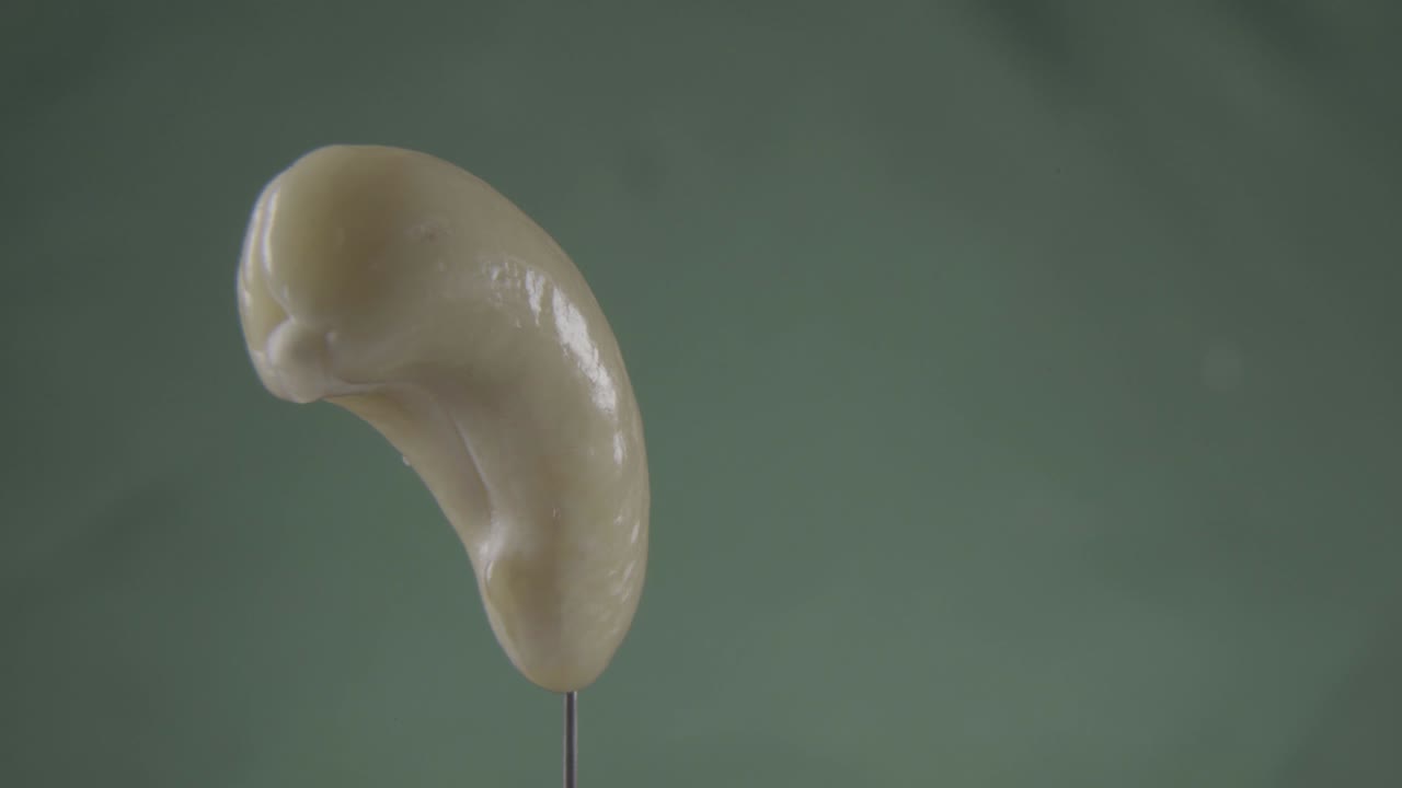 크로마 키를 위해 녹색 화면에 루프와 함께 회전하는 캐슈