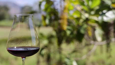 giros de vino, mostrando el líquido giratorio