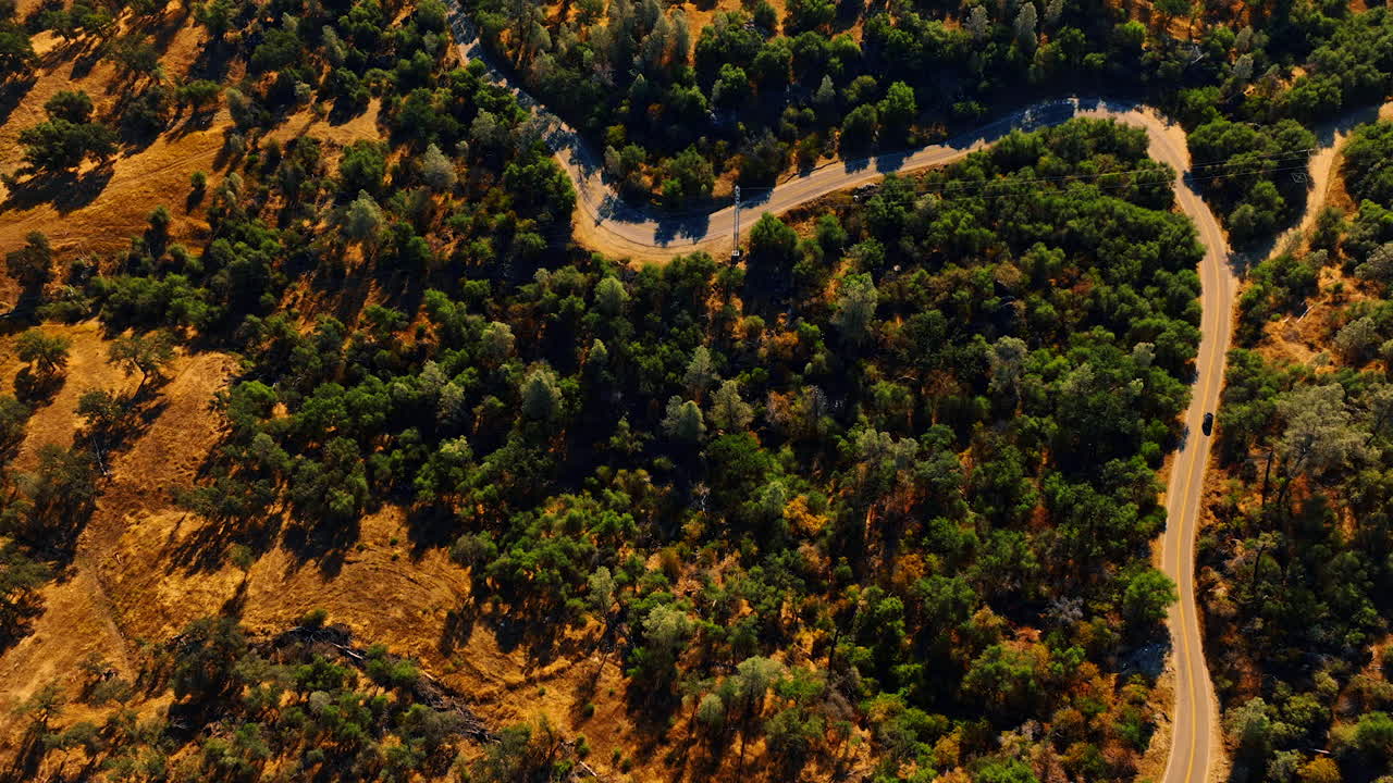 Automobile moving by the wavy highway among the green trees. Top view of Sierra National Forest, California, USA on sunny day.