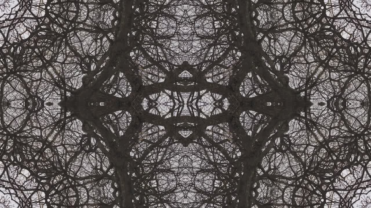 árboles en simetría - en bucle