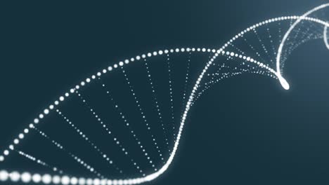 holograma animado de 4k de doble hélice de adn rotativa y brillante blanca sobre un fondo azul. estructura de la molécula de adn