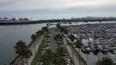 un camino bordeado de palmeras en long beach, ca.