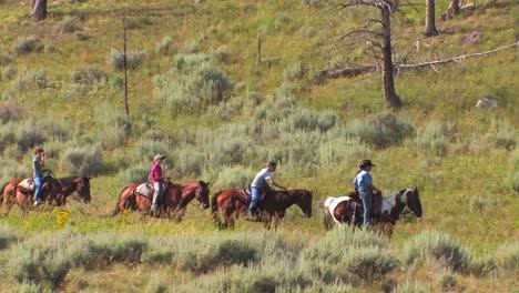 caballos y jinetes hacen un viaje en grupo por el desierto 2