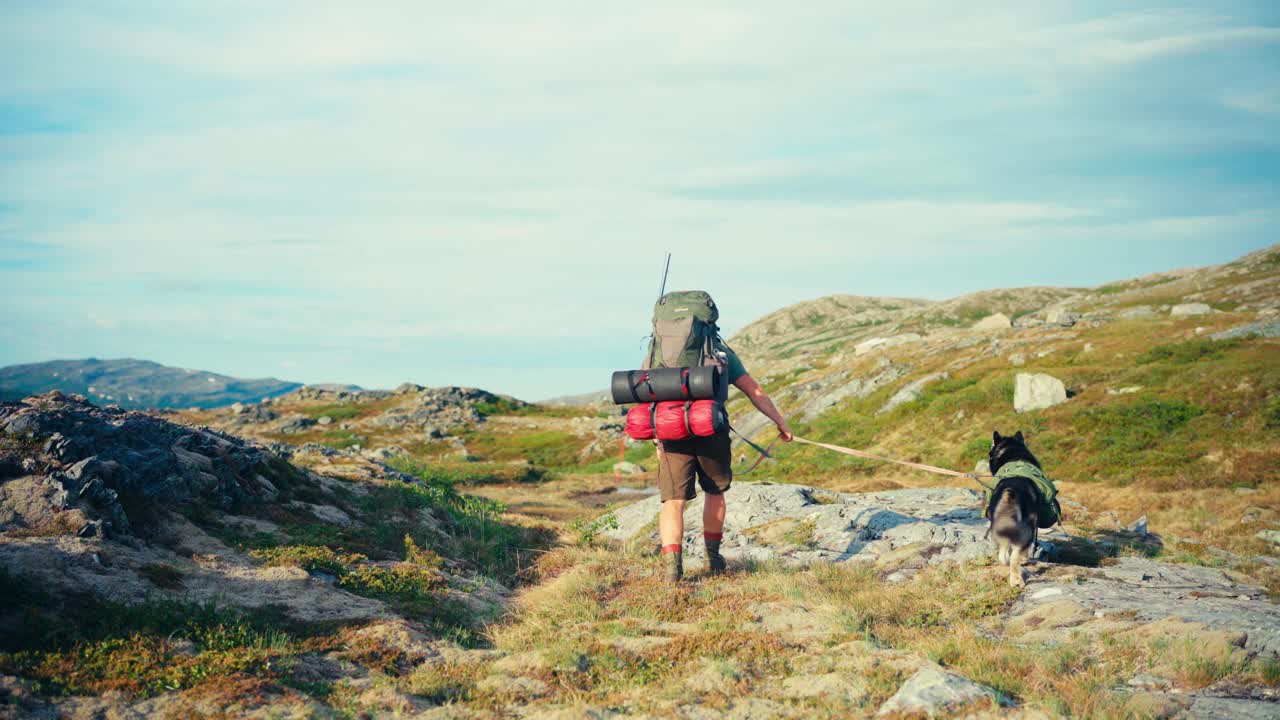 un excursionista masculino y su perro malamute de alaska caminando por senderos de montaña en indre fosen, noruega - toma amplia