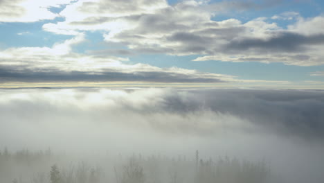 fog advancing over the forest and surrounding hills during a sunny afternoon