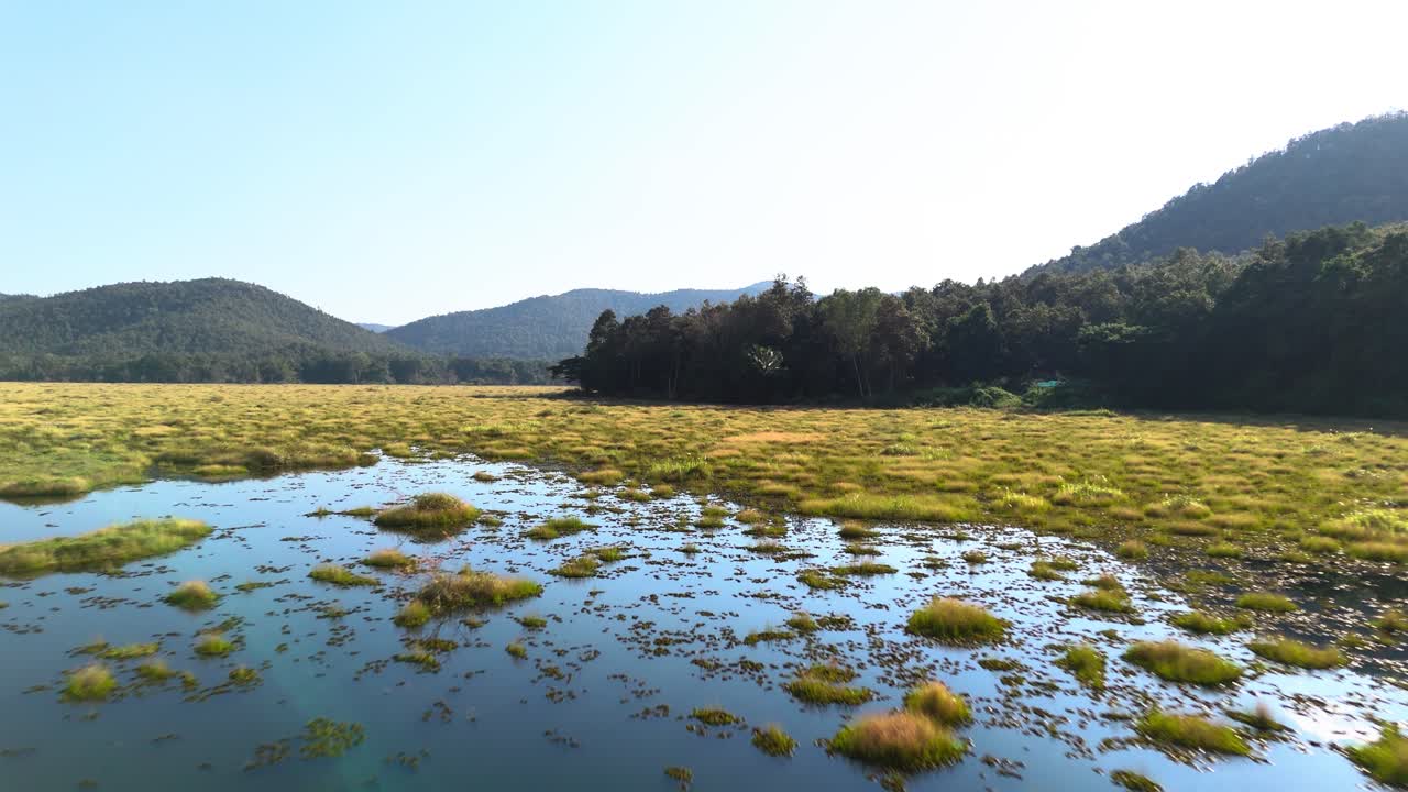 Luftfoto af et frodigt vådområde med bjerge og roligt vand.