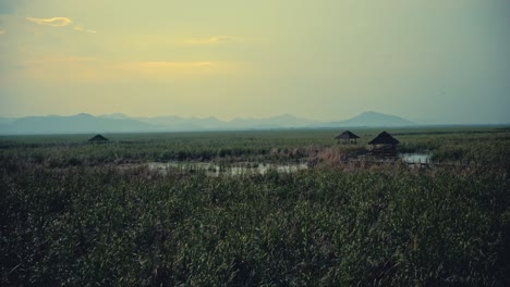 un pantano en tailandia con pabellones y montañas en la distancia