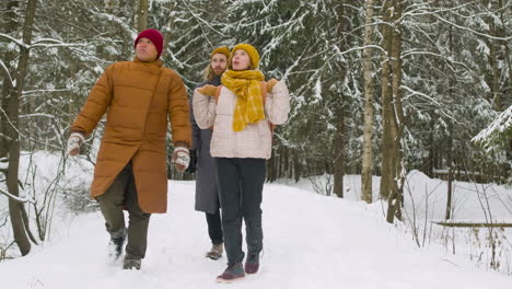 vista frontal de três amigos em roupas de inverno andando e conversando, apontando algo em uma floresta de inverno