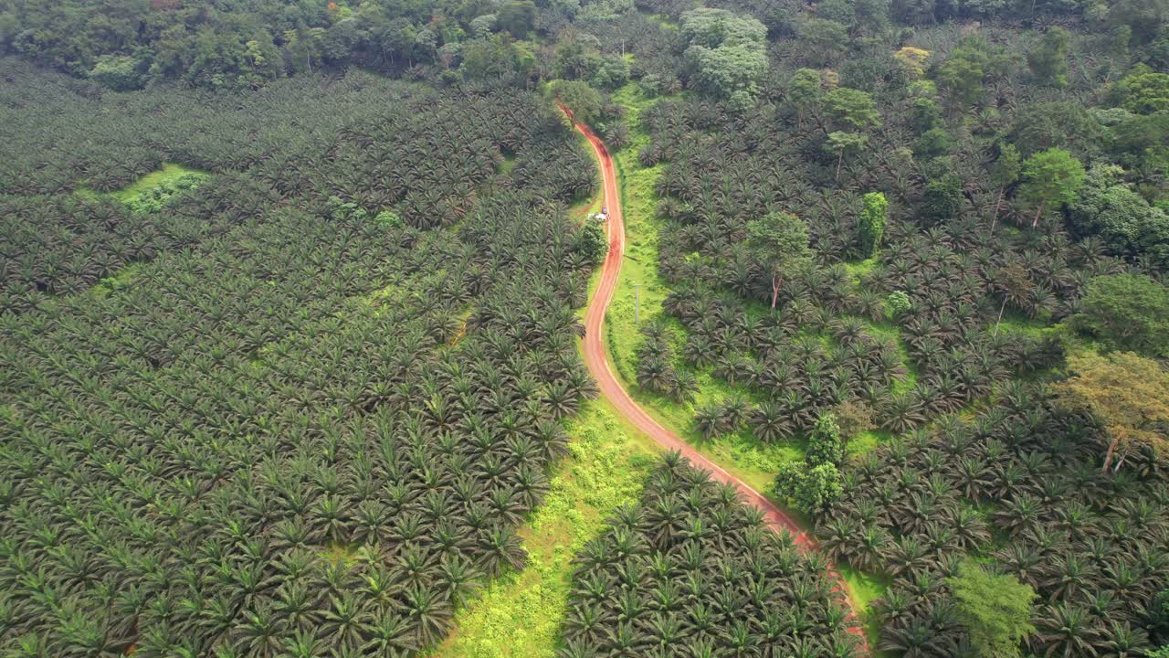 Aerial view from Agripalma at Sao Tome South,Africa