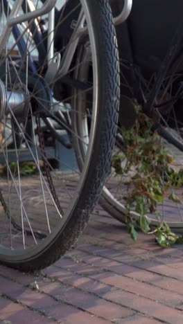 abandoned bikes on bricks