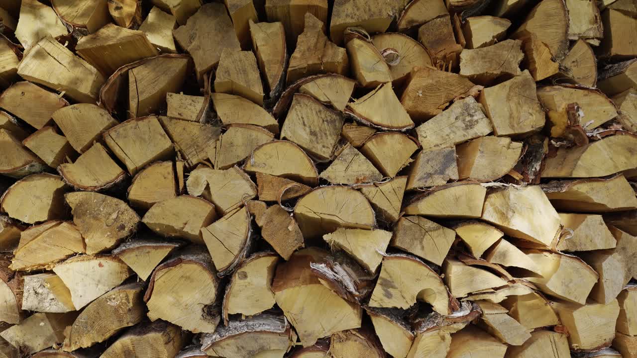 Firewood ridge in a sunny day