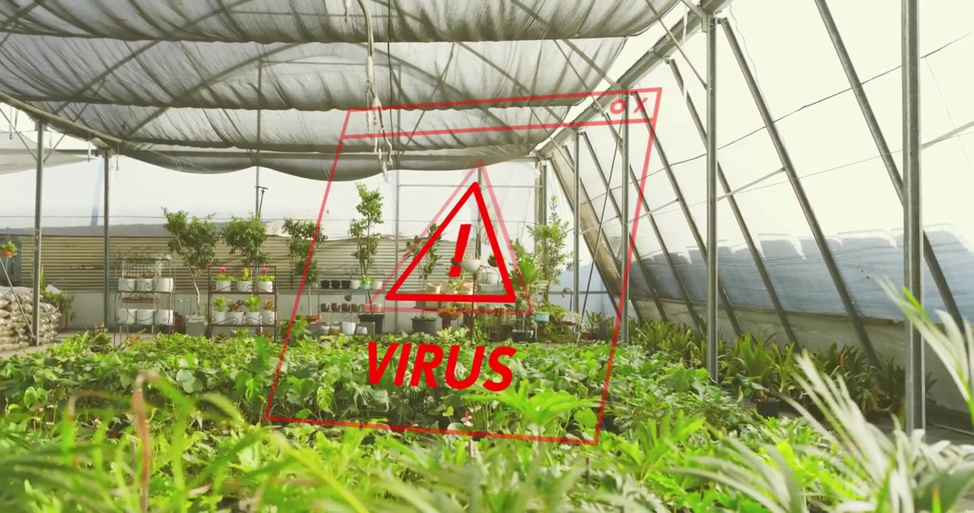 Vista de invernadero activa una alerta de virus que aparece gradualmente, con fallos, inclinándose y disolviéndose para revelar plantas.