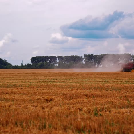 combine harvester gathers wheat crop. industrial harverster in agricultural field harvesting wheat