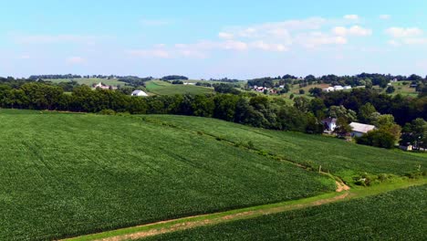 Eine-Luftaufnahme-Aus-Einem-Hohen-Winkel-Von-Ein-Paar-Häusern-In-Der-Ferne,-Weit-Auseinander-Verteilt-Auf-Großen-Grünen-Ackerflächen-In-Pennsylvania-An-Einem-Sonnigen-Tag