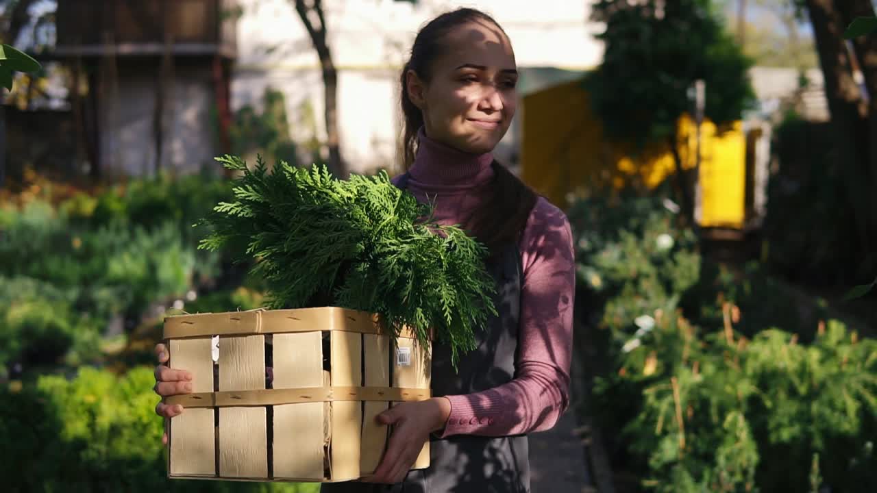 joven florista atractiva caminando entre filas de diferentes plantas en una floristería o mercado y llevando una caja de madera con plantas dentro