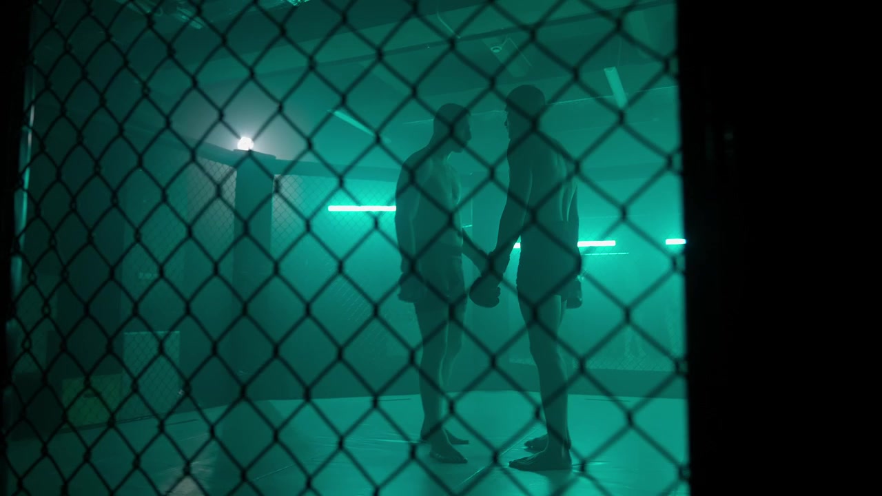 Silhouettes of Fighters Shaking Hands in a Neon-Lit Cage