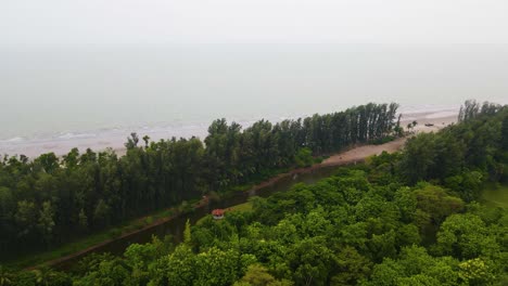 floresta de árvores de jhau na praia de kuakata como terraço natural para a tempestade em bangladesh