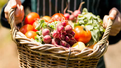 animation of person holding basket of freshly picked organic vegetables outdoors