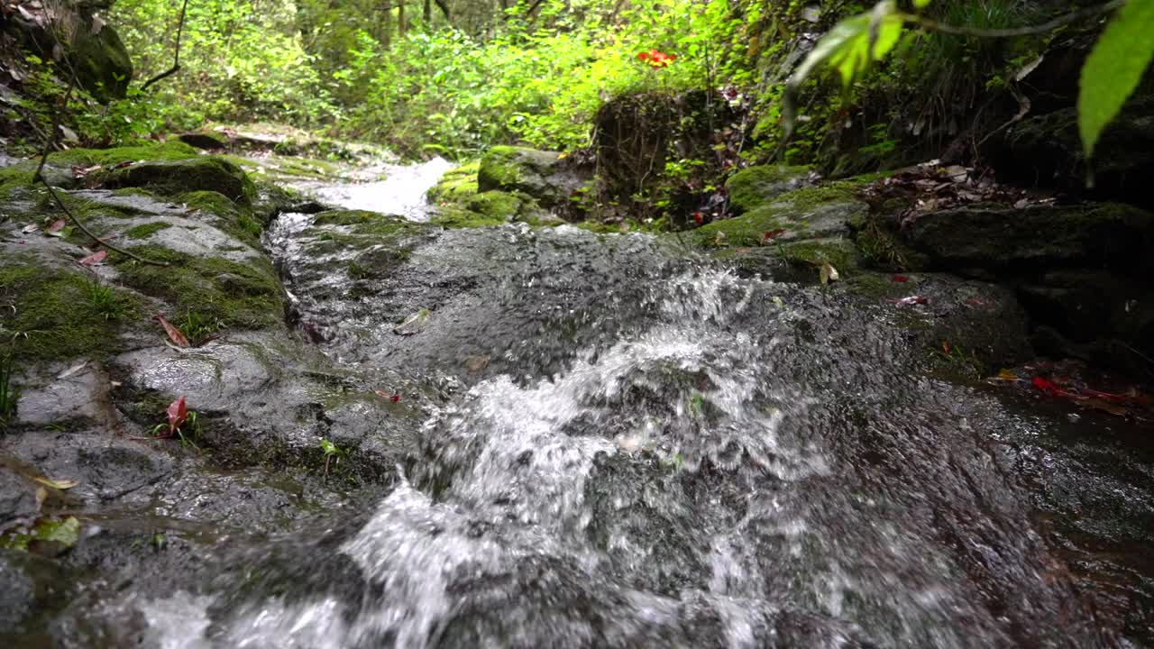 The clear stream in the valley flows down from mossy stones