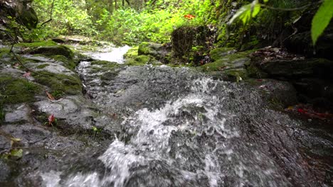 La-Corriente-Clara-En-El-Valle-Fluye-Hacia-Abajo-Desde-Las-Piedras-Cubiertas-De-Musgo