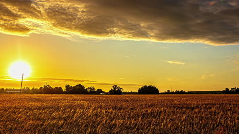 puesta de sol brillante y dorada sobre los cultivos de las tierras de cultivo - lapso de tiempo de gran ángulo