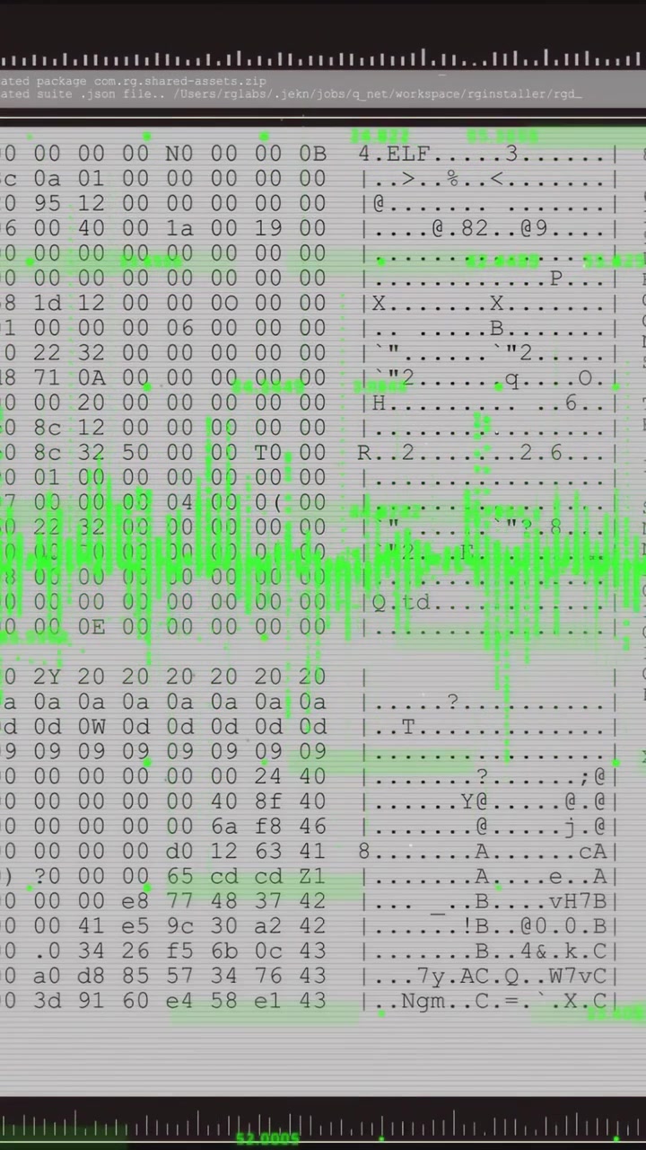 Vertical video: On file load hex view shifting to dump, green wave pulsing, logs moving for debug