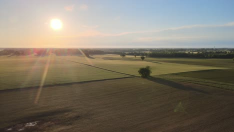 Flying-over-crops-in-Tennessee-during-a-beautiful-sunset