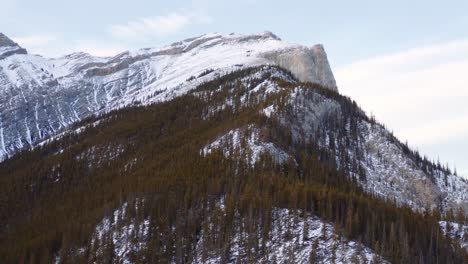 aerial drone cranes down revealing mature pine tree covered mountain all the way to granite cliff in canmore british colombia