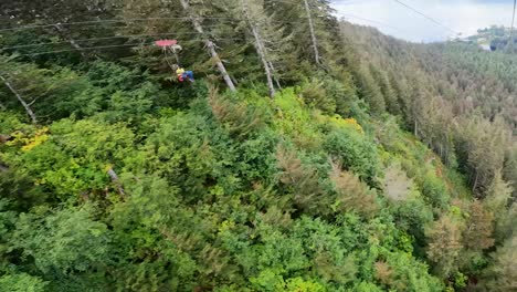 zipline over old growth forest in hoonah alaska