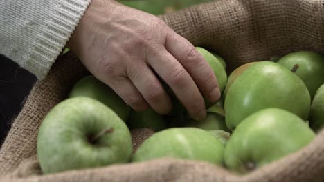 Hands-putting-ripe-green-apples-into-a-sack-close-up-shot