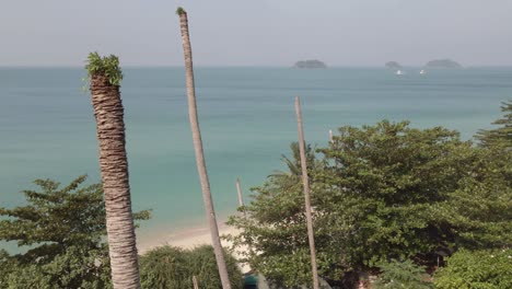 Aerial-ascending-shot-of-dead-tropical-coconut-palm-tree-on-a-beach-with-islands