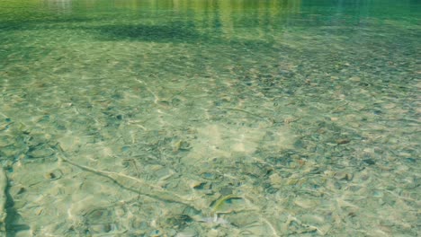 Oberfläche-Des-Grünen-Wasserkräuselungshintergrundes,-Des-Felsens-Und-Des-Sandes-Unter-Klarem-Wasser